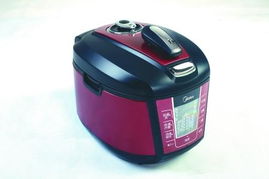 2010年度消费者最喜爱的小家电产品盘点